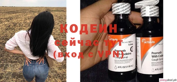 дурь Вяземский