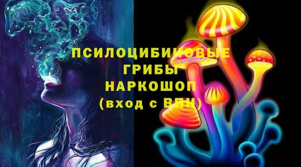 прущая мука Вязники
