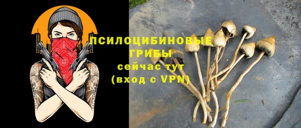прущая мука Вязники